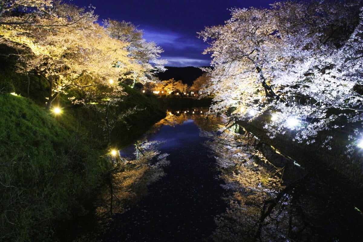 鹿野城跡公園の写真11