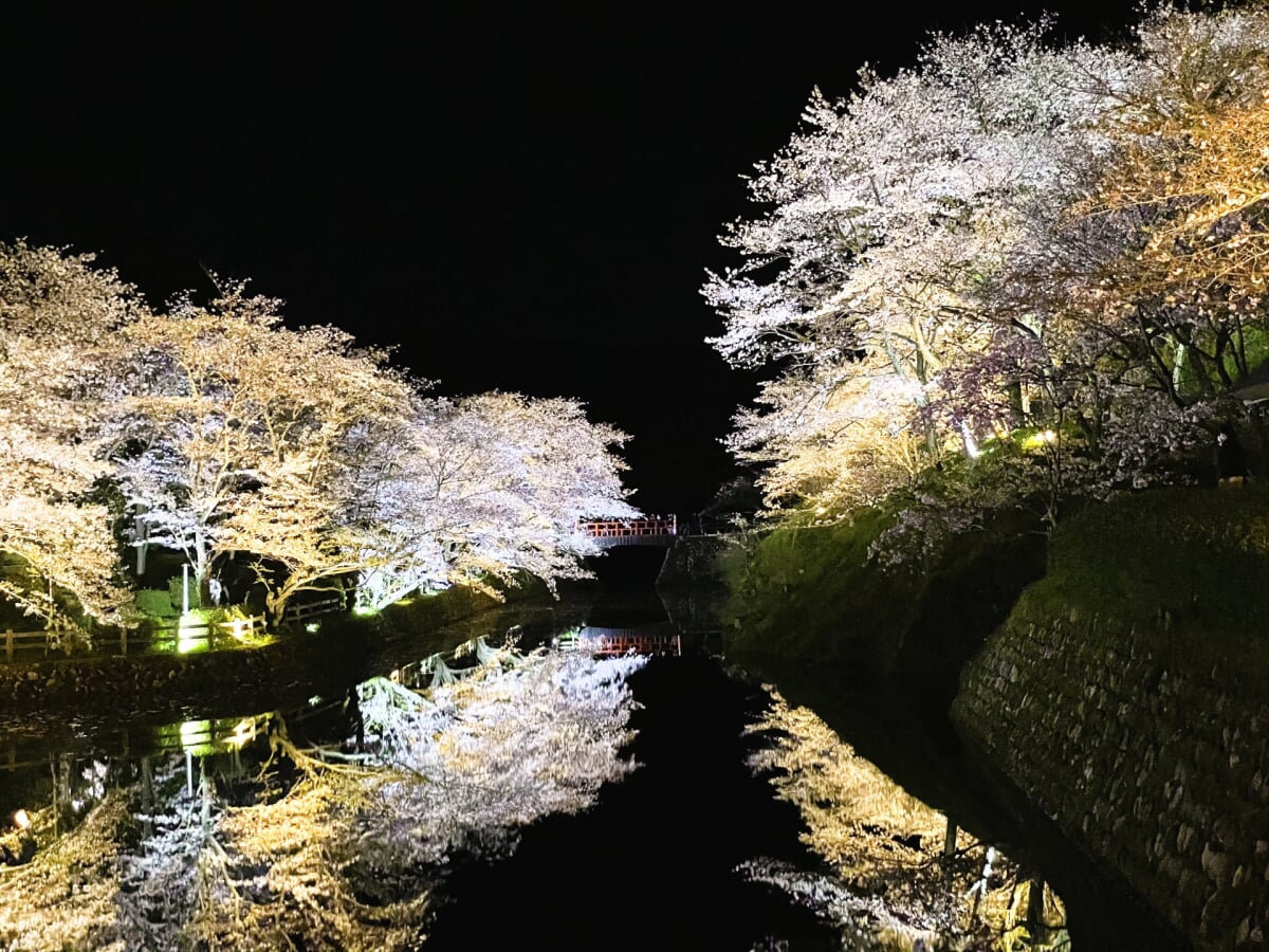 鹿野城跡公園の写真12