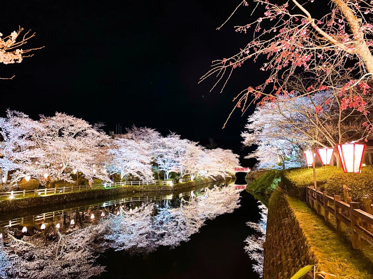 鹿野城跡公園の写真13