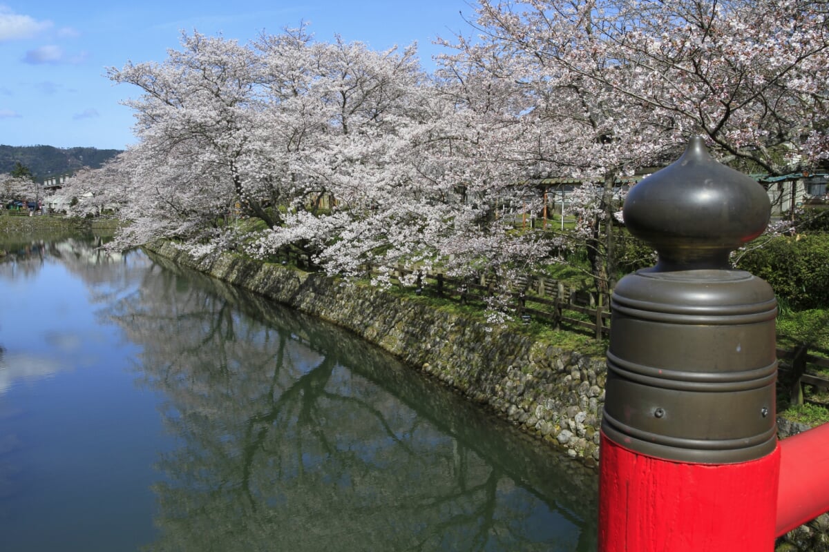 鹿野城跡公園の写真15