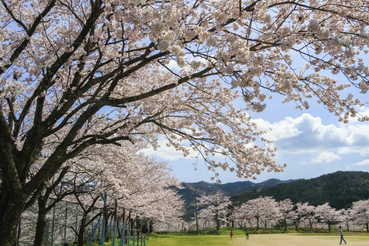 鹿野城跡公園の写真1