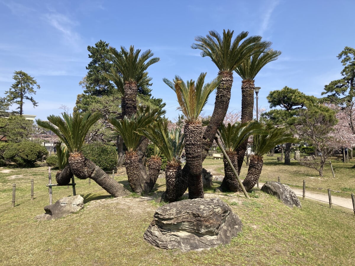 湊山公園の写真1