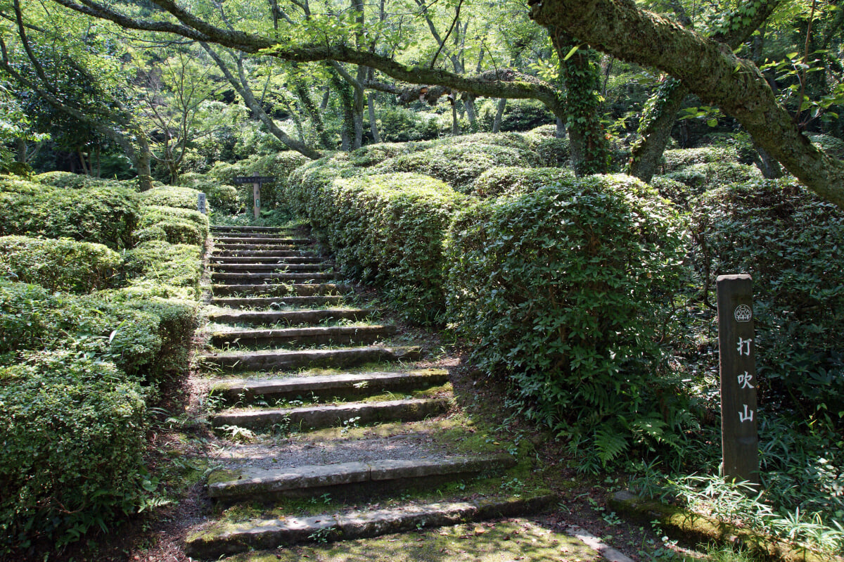 打吹公園の写真3