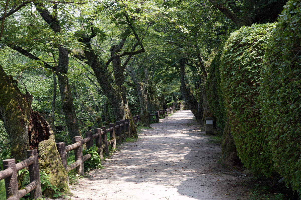 打吹公園の写真5