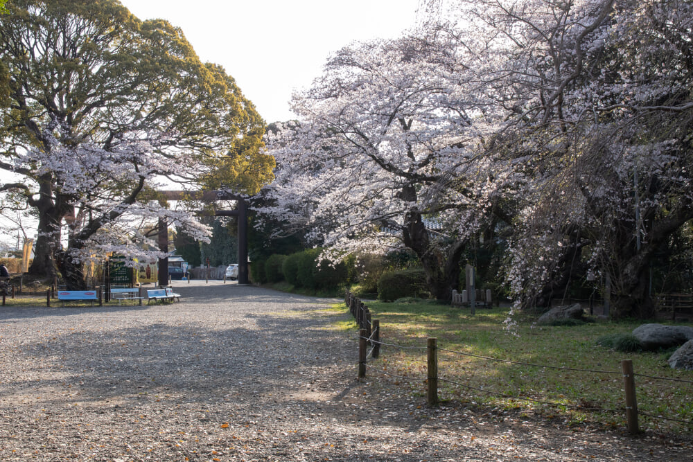 常磐神社の写真5