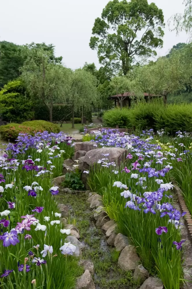 ほたる見公園の写真1