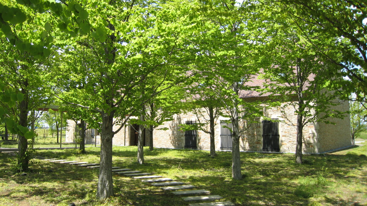 群馬県立館林美術館の写真3