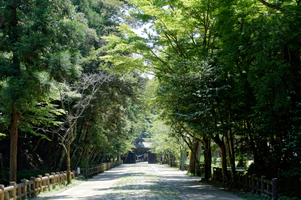 樗谿神社の写真10