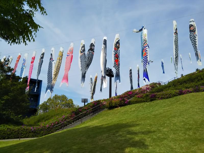 中井中央公園の写真2