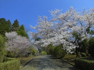 恩賜箱根公園の写真3