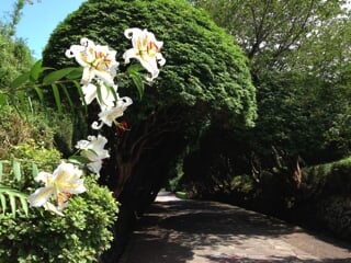 恩賜箱根公園の写真6