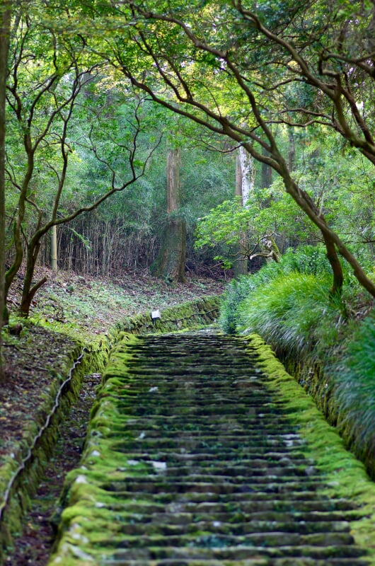 恩賜箱根公園の写真7