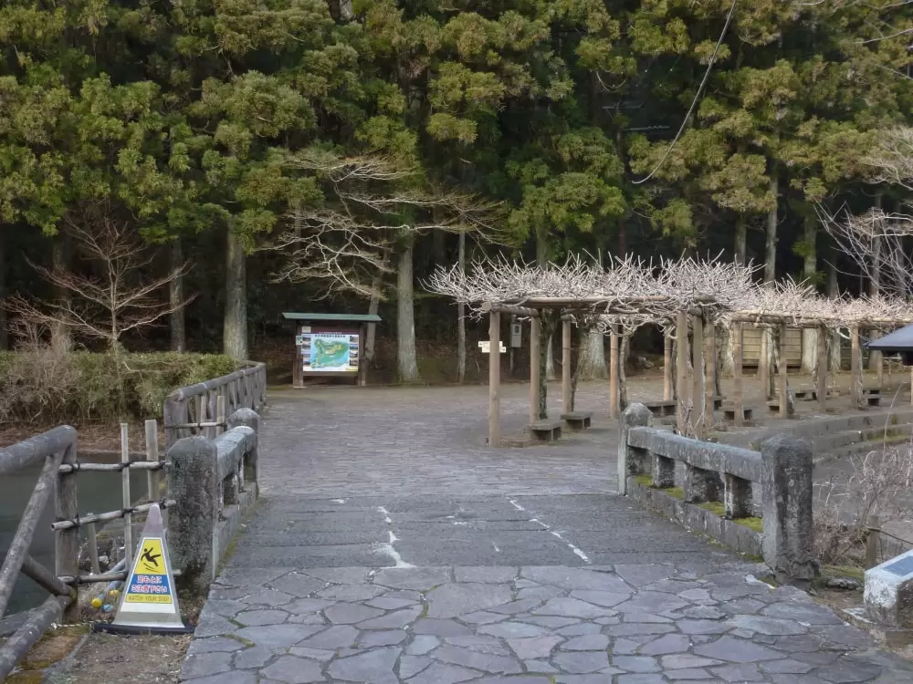 恩賜箱根公園の写真1