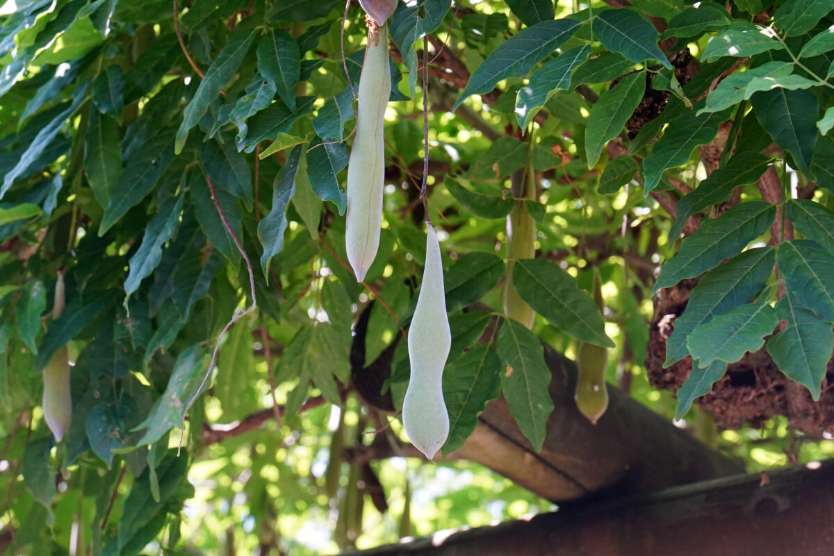 若州一滴文庫の写真4