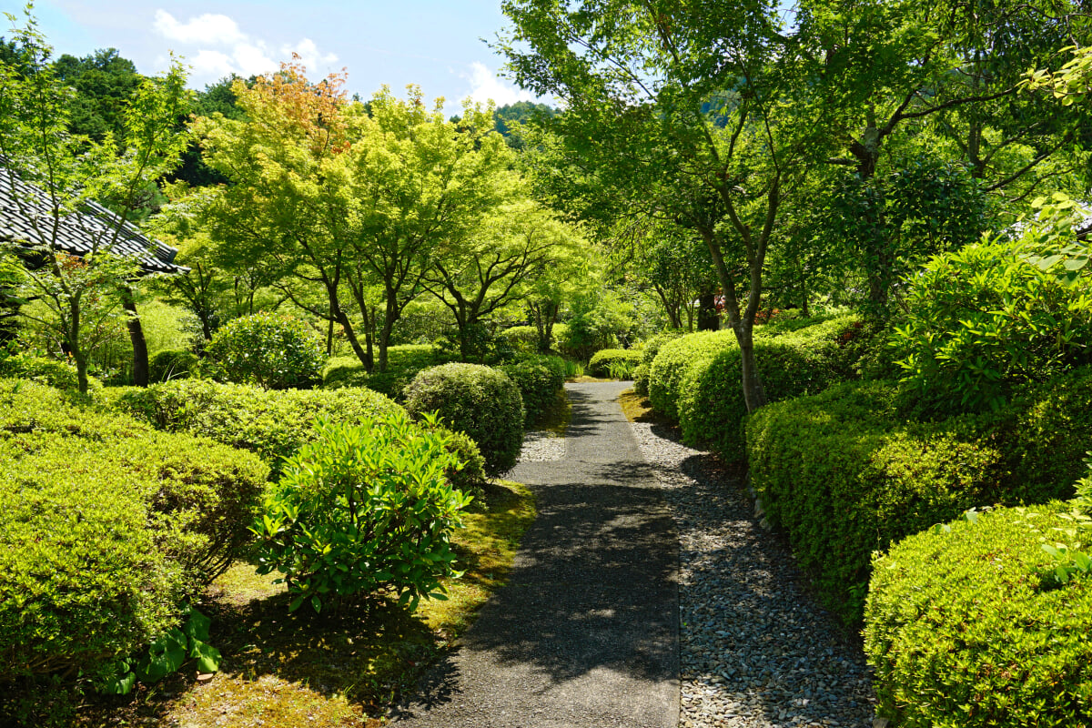 若州一滴文庫の写真11