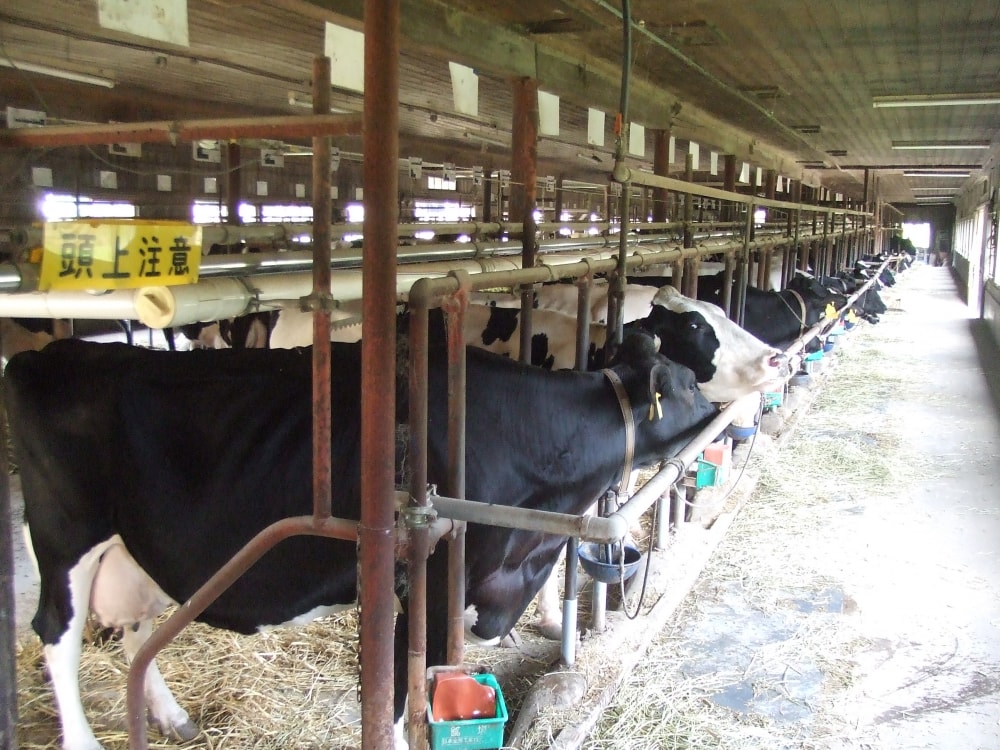 小岩井農場の写真4