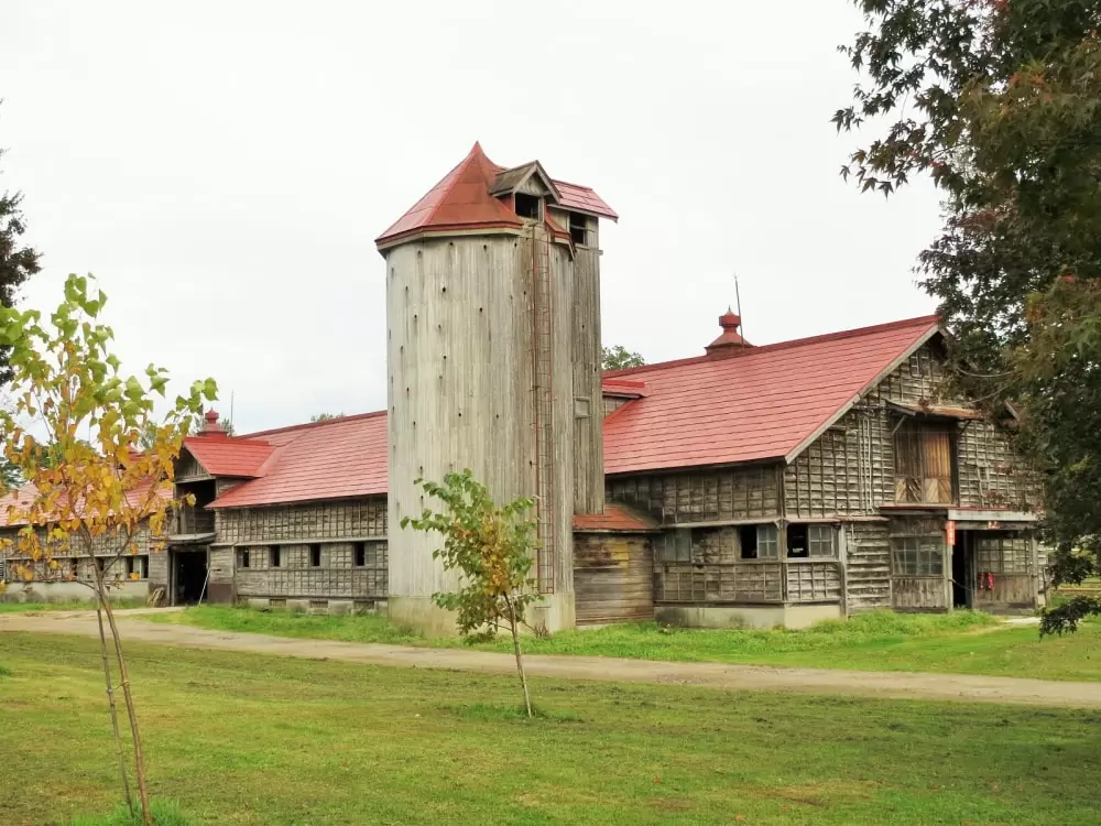 小岩井農場の写真1