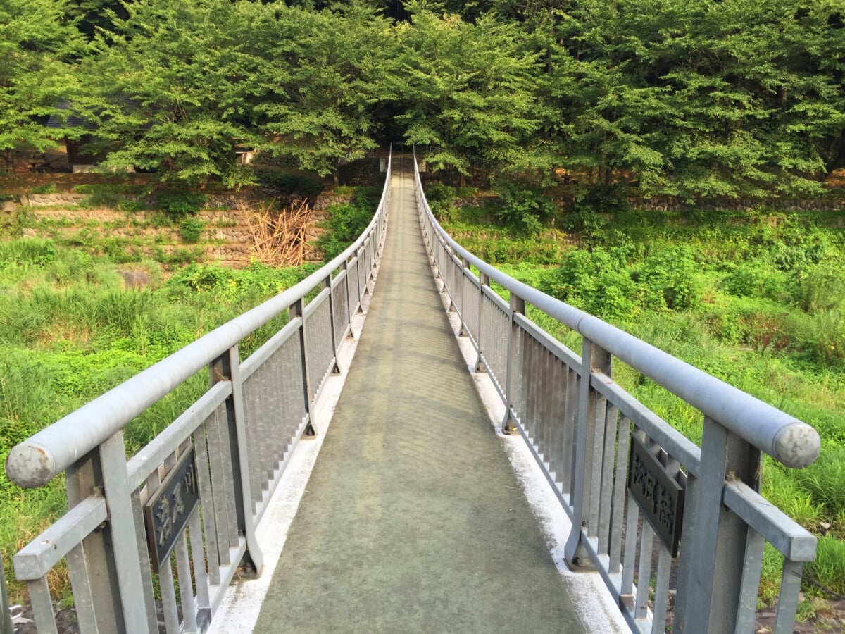 沼尾川親水公園の写真2
