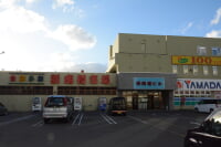 新南樽市場