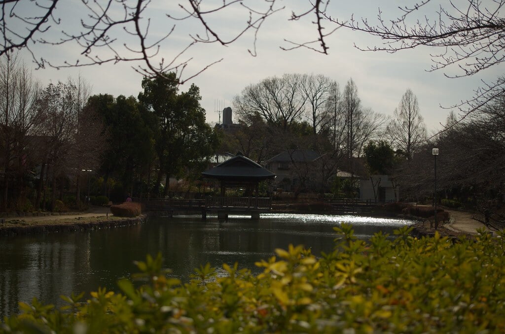 上沼公園・下沼公園の写真5