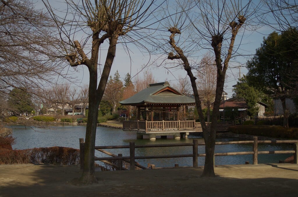 上沼公園・下沼公園の写真1