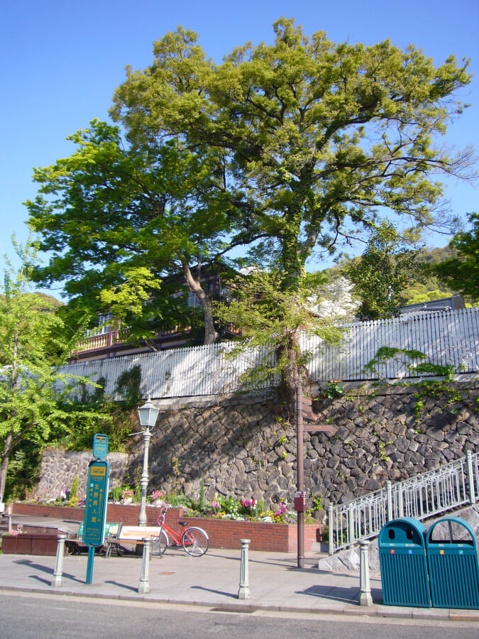 ラインの館の写真7