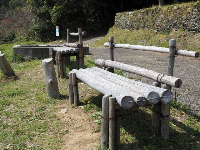 とくしま植物園の写真2