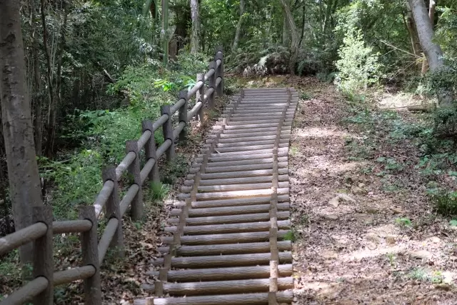 とくしま植物園の写真1