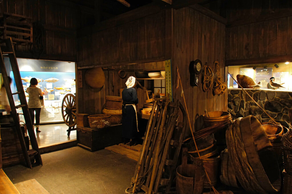 利尻町立博物館の写真3