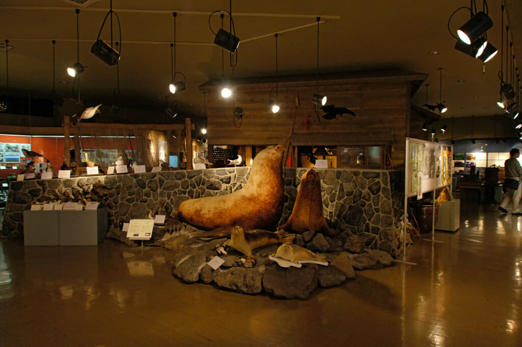 利尻町立博物館の写真6