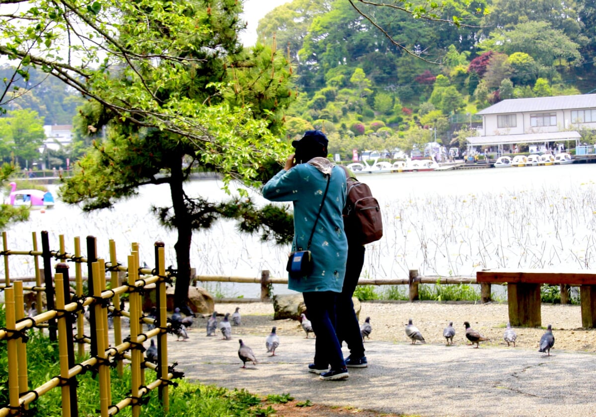 蓮池公園の写真2