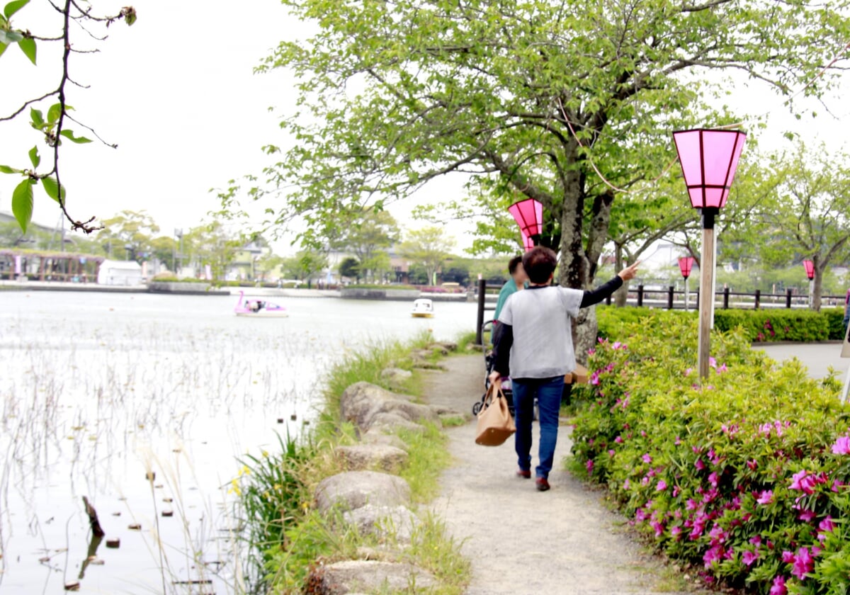 蓮池公園の写真4