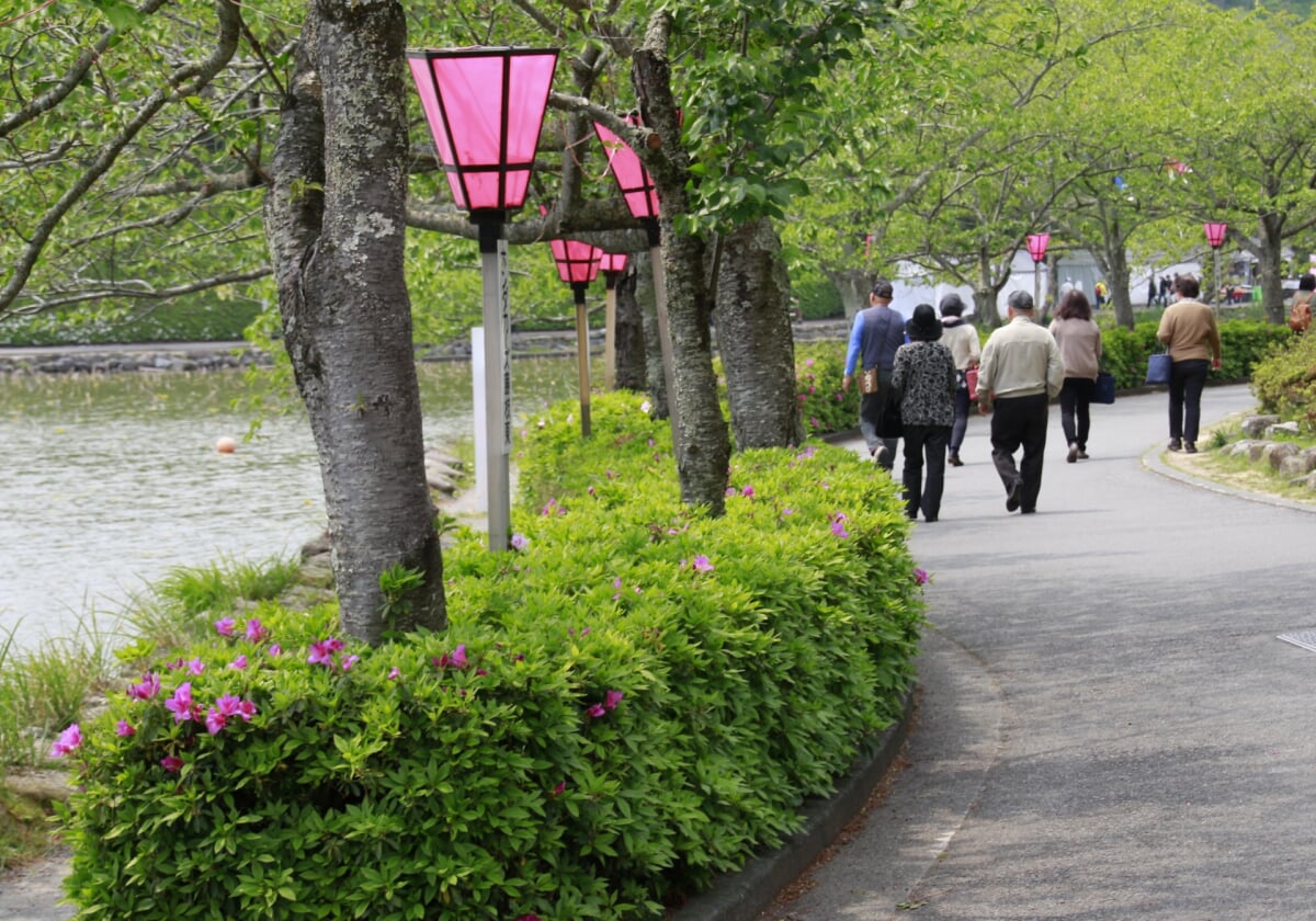 蓮池公園の写真1