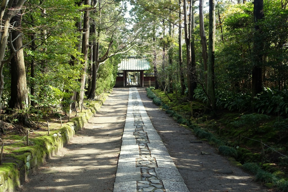 寿福寺の写真4