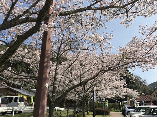 道の駅 山之口の写真5