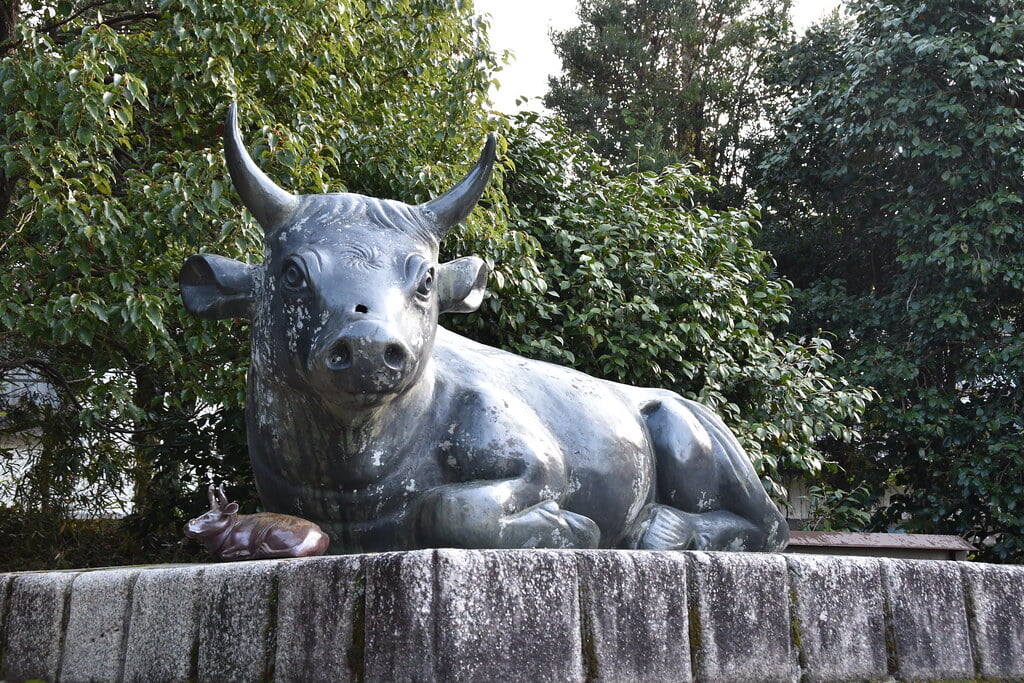 中山神社の写真1