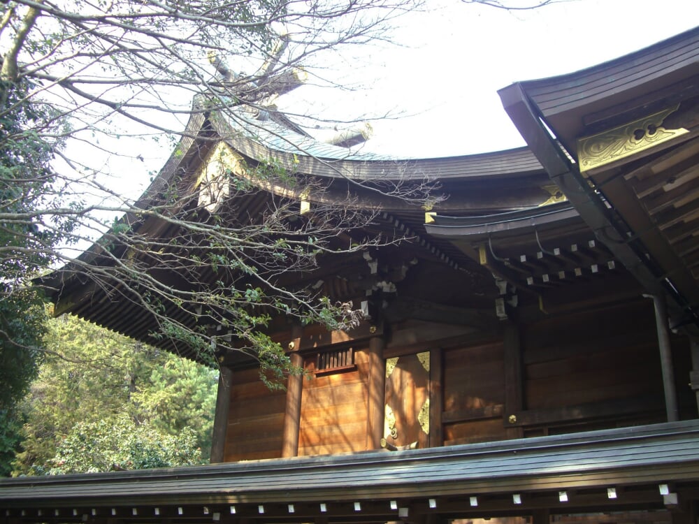 速谷神社の写真1