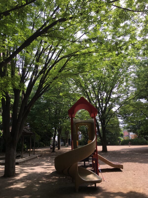 西口中央公園の写真5