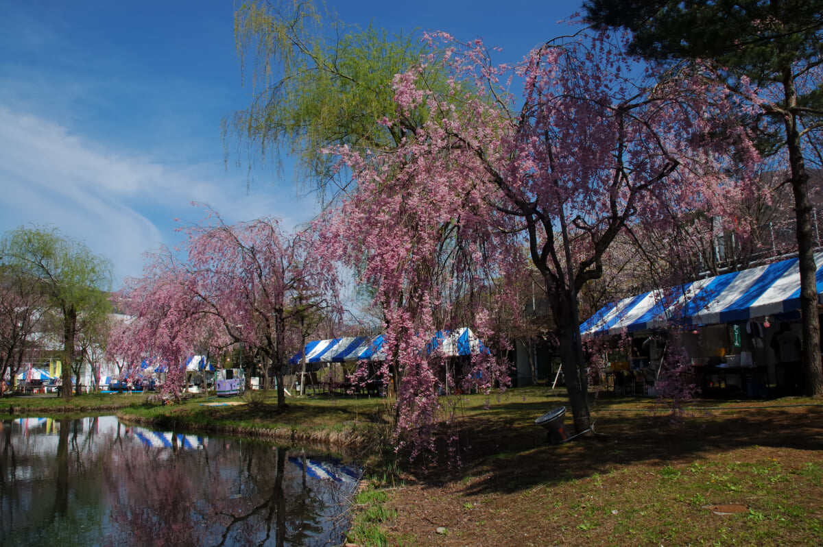 湯沢中央公園の写真9