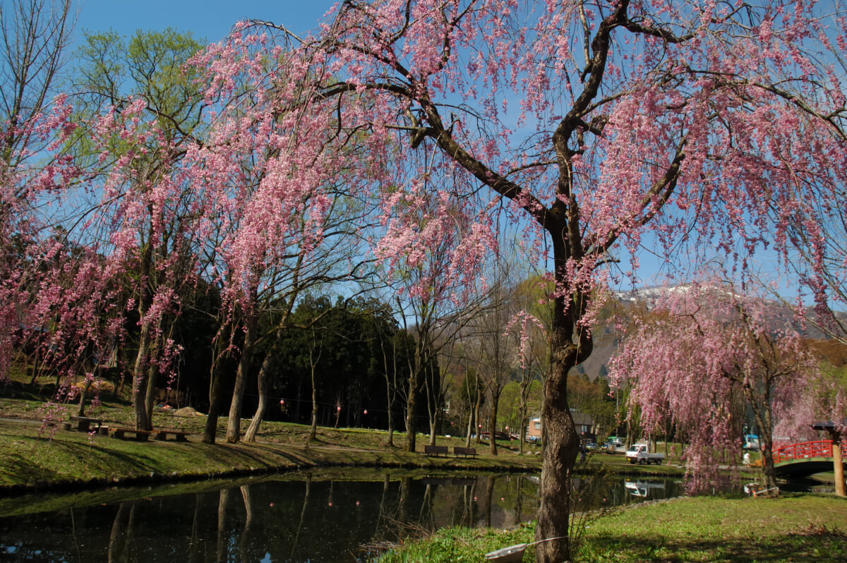 湯沢中央公園の写真11