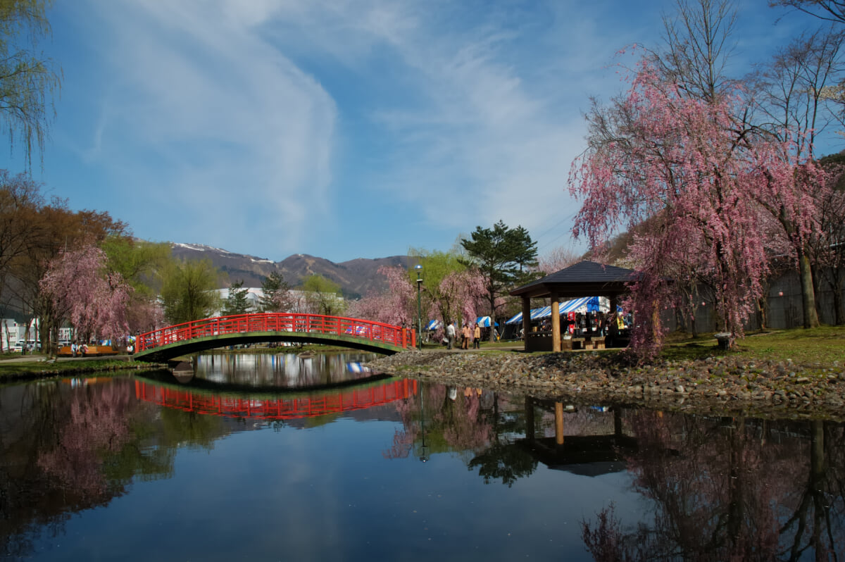 湯沢中央公園の写真12