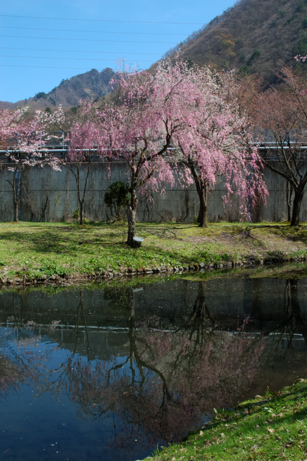湯沢中央公園の写真13