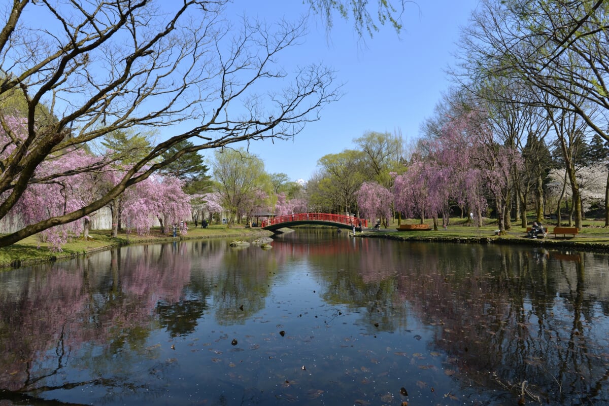 湯沢中央公園の写真1