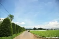 昭和村総合運動公園