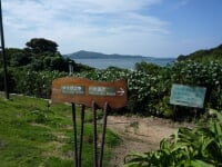 鳥羽白浜海水浴場