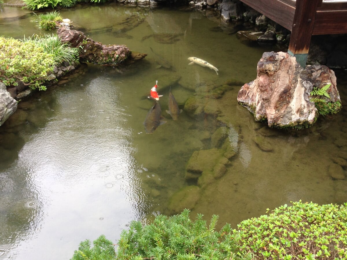 並河靖之七宝記念館の写真11