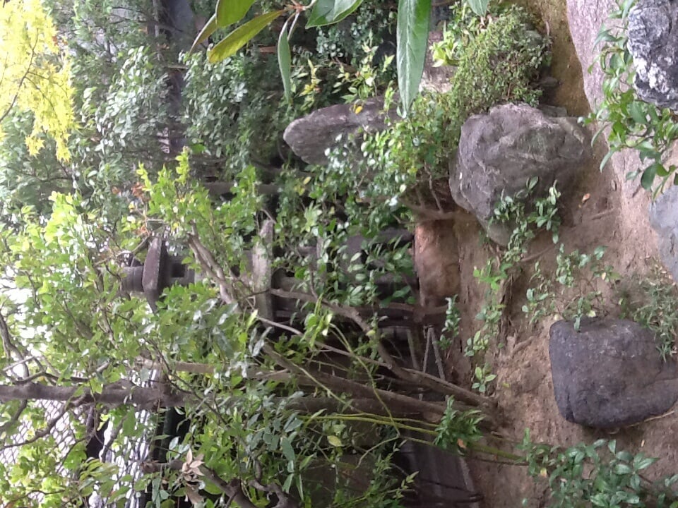 並河靖之七宝記念館の写真12