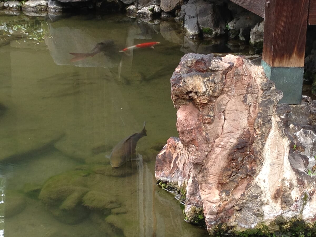 並河靖之七宝記念館の写真13