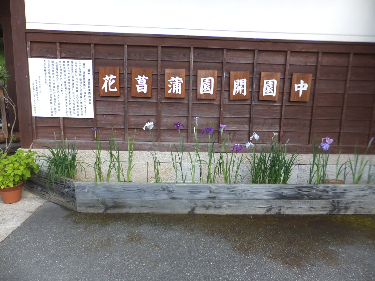 播州山崎花菖蒲園の写真7