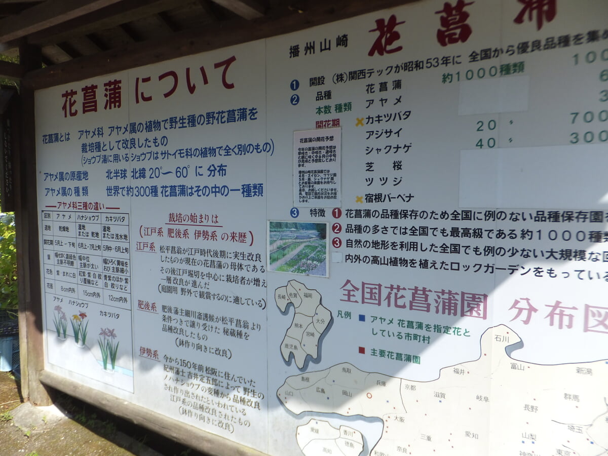 播州山崎花菖蒲園の写真9